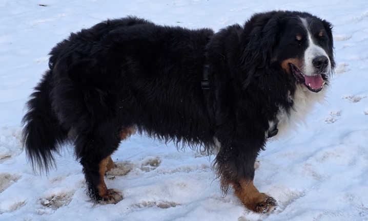 - kein Bild verf�gbar -